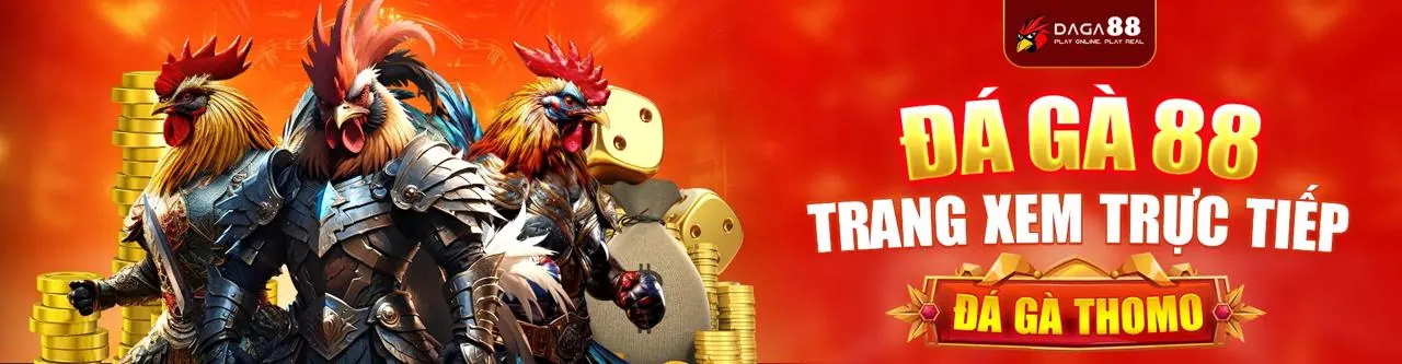 Đá gà trực tuyến vh88 - Trải nghiệm cá cược đỉnh cao